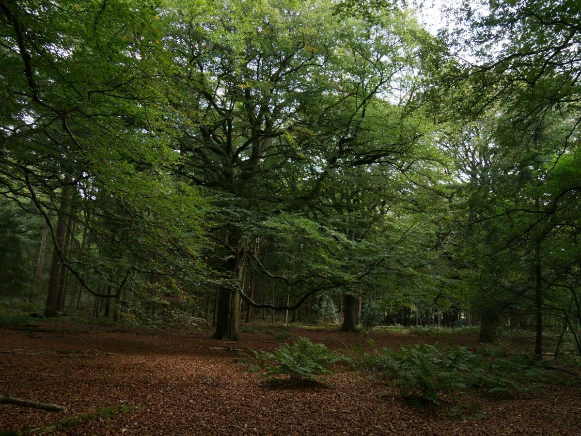 D'Aldeskoalle Molkwerum Extérieur photo